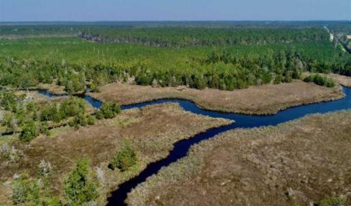 Photo of SOLD!!  218 Acres of Farm and Timber Land in Pamlico County NC!