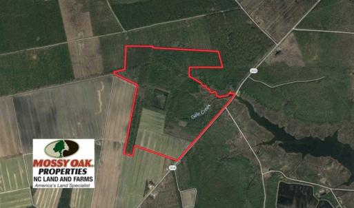 Photo of SOLD!!  218 Acres of Farm and Timber Land in Pamlico County NC!