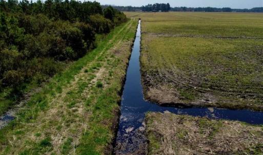 Photo of SOLD!!  218 Acres of Farm and Timber Land in Pamlico County NC!