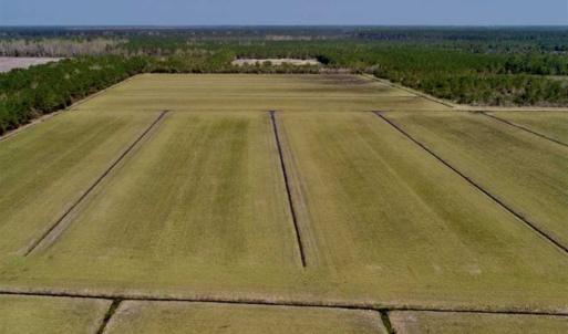 Photo of SOLD!!  218 Acres of Farm and Timber Land in Pamlico County NC!