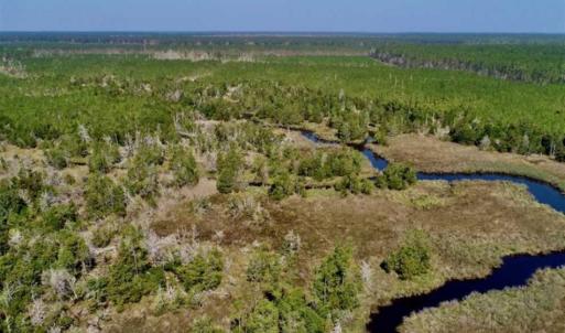 Photo of SOLD!!  218 Acres of Farm and Timber Land in Pamlico County NC!