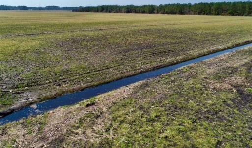 Photo of SOLD!!  218 Acres of Farm and Timber Land in Pamlico County NC!