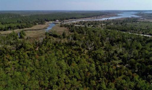 Photo of SOLD!!  218 Acres of Farm and Timber Land in Pamlico County NC!