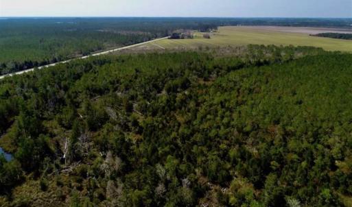 Photo of SOLD!!  218 Acres of Farm and Timber Land in Pamlico County NC!