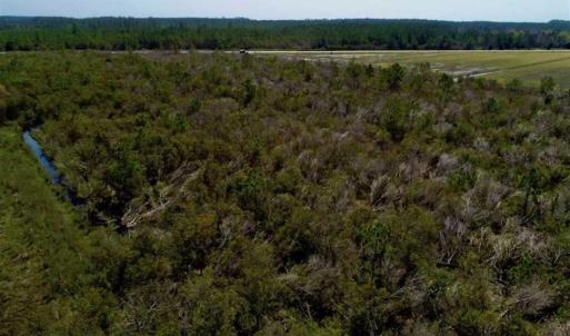 Photo of SOLD!!  218 Acres of Farm and Timber Land in Pamlico County NC!