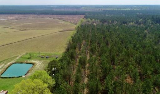 Photo of SOLD!!  19.5 Acres of Hunting and Timber Land for Sale in Halifax County NC!