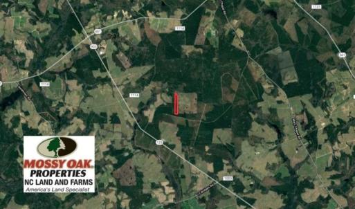 Photo of SOLD!!  19.5 Acres of Hunting and Timber Land for Sale in Halifax County NC!