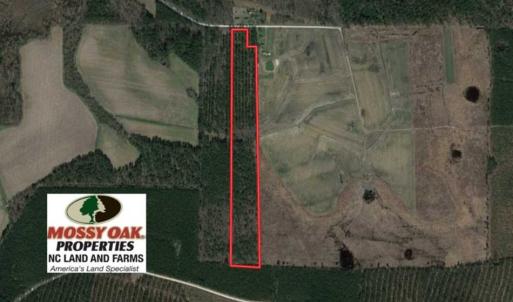 Photo of SOLD!!  19.5 Acres of Hunting and Timber Land for Sale in Halifax County NC!