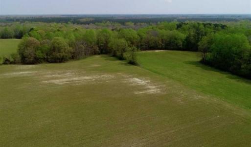 Photo of REDUCED! 49 Acres of Farm and Timber Land For Sale in Halifax County NC!