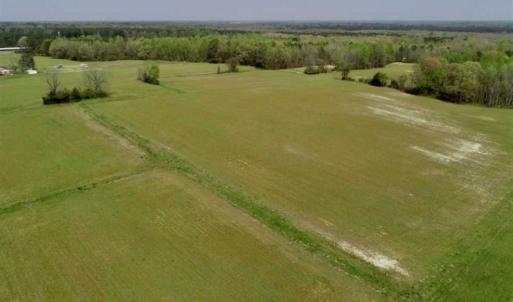 Photo of REDUCED! 49 Acres of Farm and Timber Land For Sale in Halifax County NC!