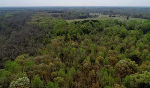 Photo of REDUCED! 49 Acres of Farm and Timber Land For Sale in Halifax County NC!