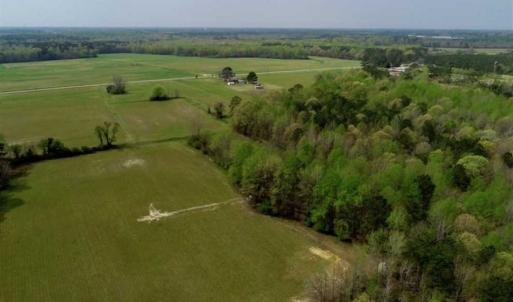 Photo of REDUCED! 49 Acres of Farm and Timber Land For Sale in Halifax County NC!