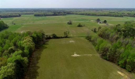 Photo of REDUCED! 49 Acres of Farm and Timber Land For Sale in Halifax County NC!