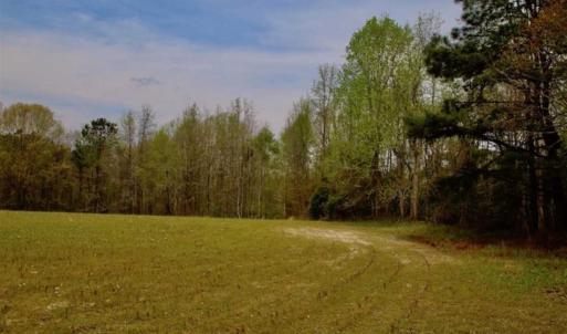 Photo of REDUCED! 49 Acres of Farm and Timber Land For Sale in Halifax County NC!