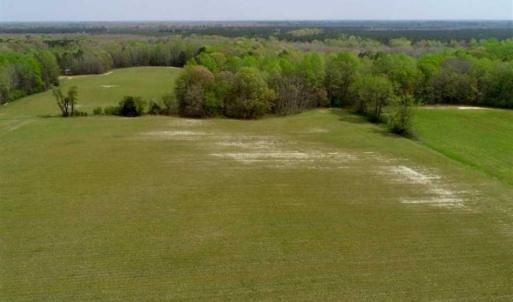 Photo of REDUCED! 49 Acres of Farm and Timber Land For Sale in Halifax County NC!