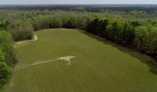 Photo of REDUCED! 49 Acres of Farm and Timber Land For Sale in Halifax County NC!