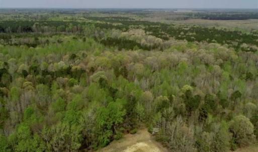 Photo of REDUCED! 49 Acres of Farm and Timber Land For Sale in Halifax County NC!