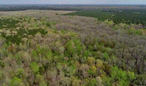 Photo of REDUCED! 49 Acres of Farm and Timber Land For Sale in Halifax County NC!