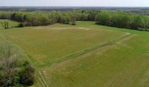 Photo of REDUCED! 49 Acres of Farm and Timber Land For Sale in Halifax County NC!