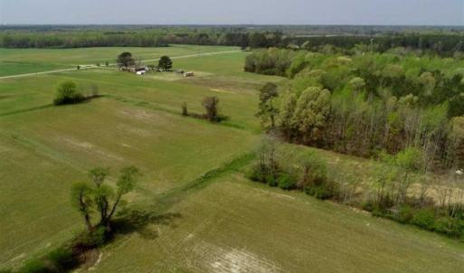 Photo of REDUCED! 49 Acres of Farm and Timber Land For Sale in Halifax County NC!