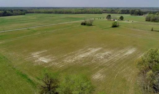 Photo of REDUCED! 49 Acres of Farm and Timber Land For Sale in Halifax County NC!