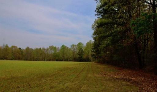 Photo of REDUCED! 49 Acres of Farm and Timber Land For Sale in Halifax County NC!
