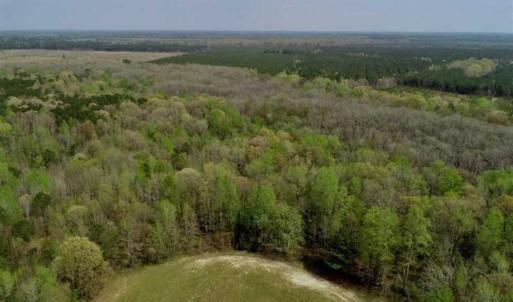Photo of REDUCED! 49 Acres of Farm and Timber Land For Sale in Halifax County NC!