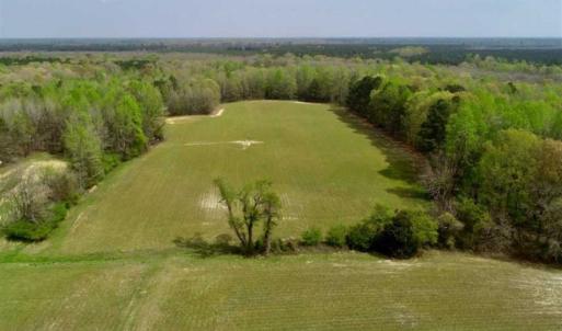 Photo of REDUCED! 49 Acres of Farm and Timber Land For Sale in Halifax County NC!