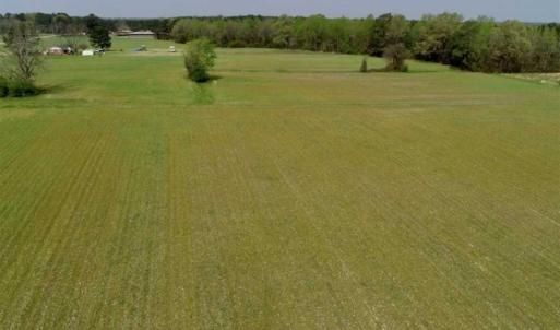 Photo of REDUCED! 49 Acres of Farm and Timber Land For Sale in Halifax County NC!