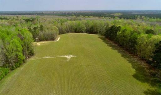 Photo of REDUCED! 49 Acres of Farm and Timber Land For Sale in Halifax County NC!