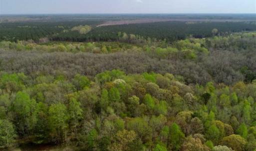 Photo of REDUCED! 49 Acres of Farm and Timber Land For Sale in Halifax County NC!