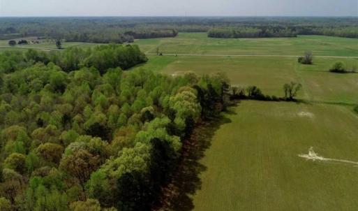 Photo of REDUCED! 49 Acres of Farm and Timber Land For Sale in Halifax County NC!