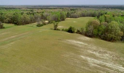 Photo of REDUCED! 49 Acres of Farm and Timber Land For Sale in Halifax County NC!