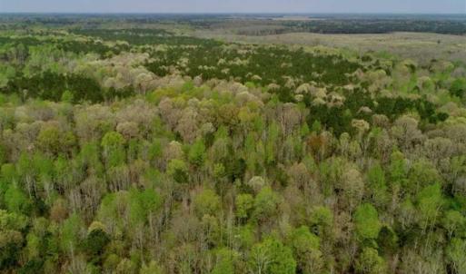 Photo of REDUCED! 49 Acres of Farm and Timber Land For Sale in Halifax County NC!