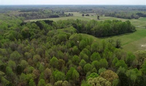 Photo of REDUCED! 49 Acres of Farm and Timber Land For Sale in Halifax County NC!