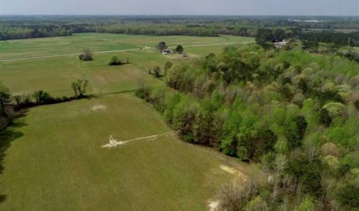 Photo of REDUCED! 49 Acres of Farm and Timber Land For Sale in Halifax County NC!