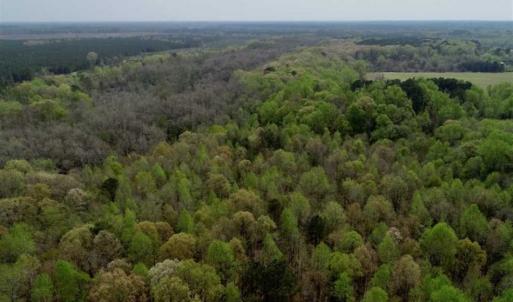 Photo of REDUCED! 49 Acres of Farm and Timber Land For Sale in Halifax County NC!