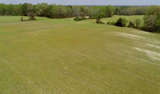 Photo of REDUCED! 49 Acres of Farm and Timber Land For Sale in Halifax County NC!