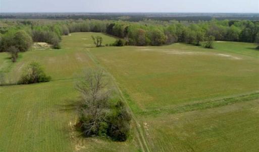 Photo of REDUCED! 49 Acres of Farm and Timber Land For Sale in Halifax County NC!