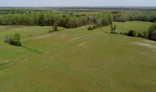 Photo of REDUCED! 49 Acres of Farm and Timber Land For Sale in Halifax County NC!