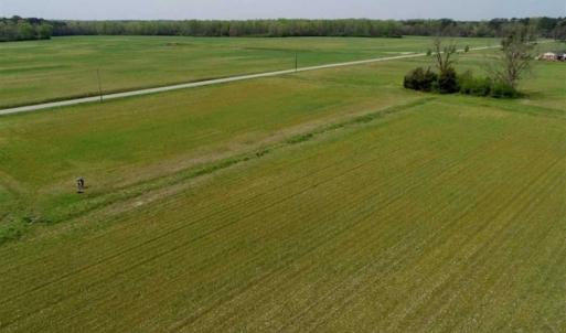 Photo of REDUCED! 49 Acres of Farm and Timber Land For Sale in Halifax County NC!