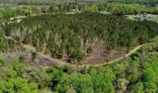 Photo of SOLD!!  36 Acres of  Timber Land For Sale in Pitt County NC!