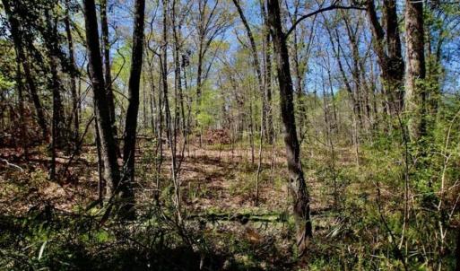 Photo of SOLD!!  36 Acres of  Timber Land For Sale in Pitt County NC!