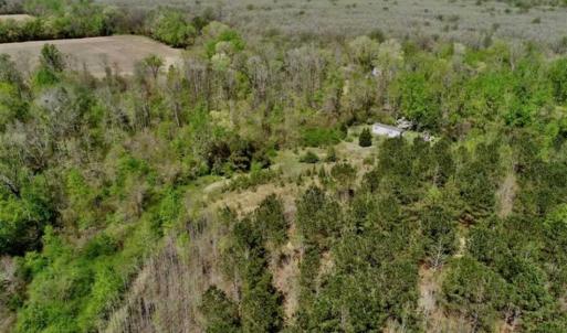Photo of SOLD!!  36 Acres of  Timber Land For Sale in Pitt County NC!