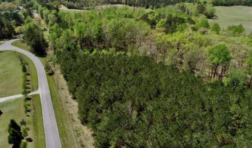 Photo of SOLD!!  36 Acres of  Timber Land For Sale in Pitt County NC!