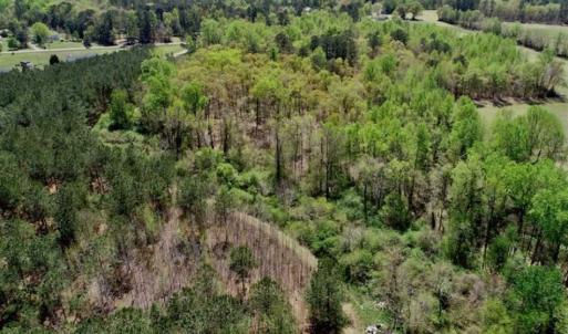 Photo of SOLD!!  36 Acres of  Timber Land For Sale in Pitt County NC!