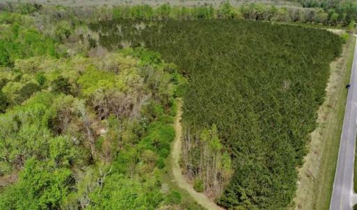 Photo of SOLD!!  36 Acres of  Timber Land For Sale in Pitt County NC!