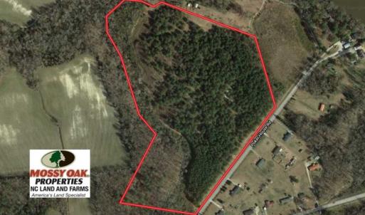 Photo of SOLD!!  36 Acres of  Timber Land For Sale in Pitt County NC!
