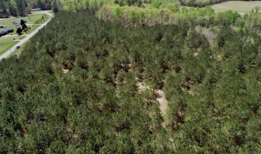 Photo of SOLD!!  36 Acres of  Timber Land For Sale in Pitt County NC!