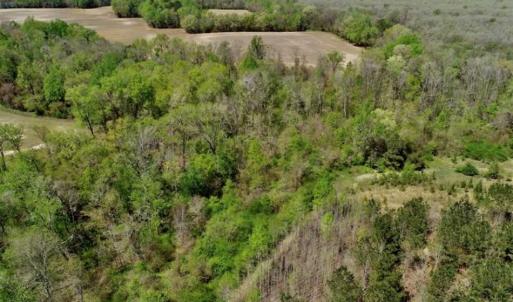 Photo of SOLD!!  36 Acres of  Timber Land For Sale in Pitt County NC!